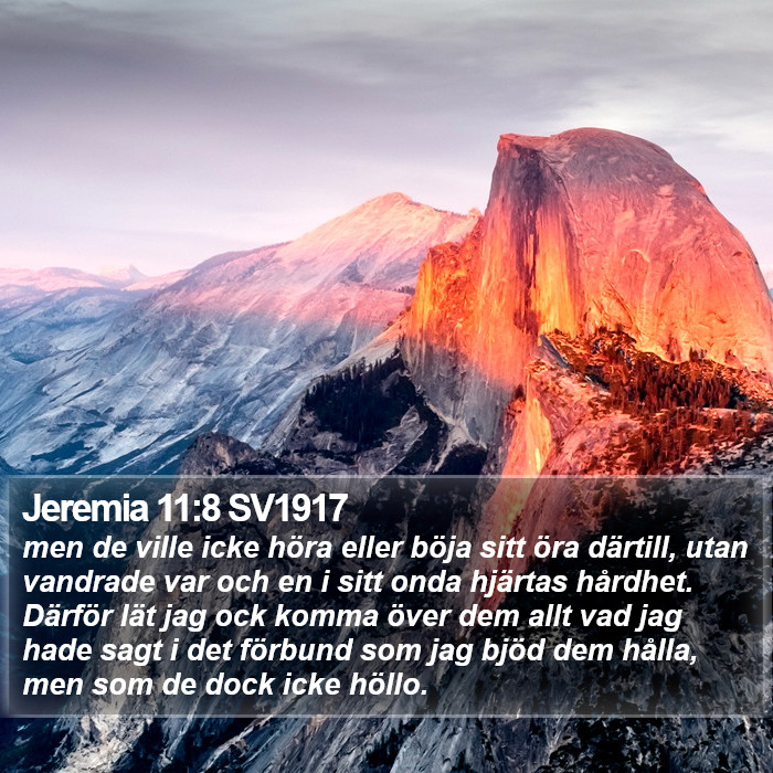 Jeremia 11:8 SV1917 Bible Study