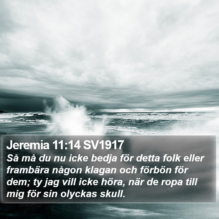 Jeremia 11:14 SV1917 Bible Study