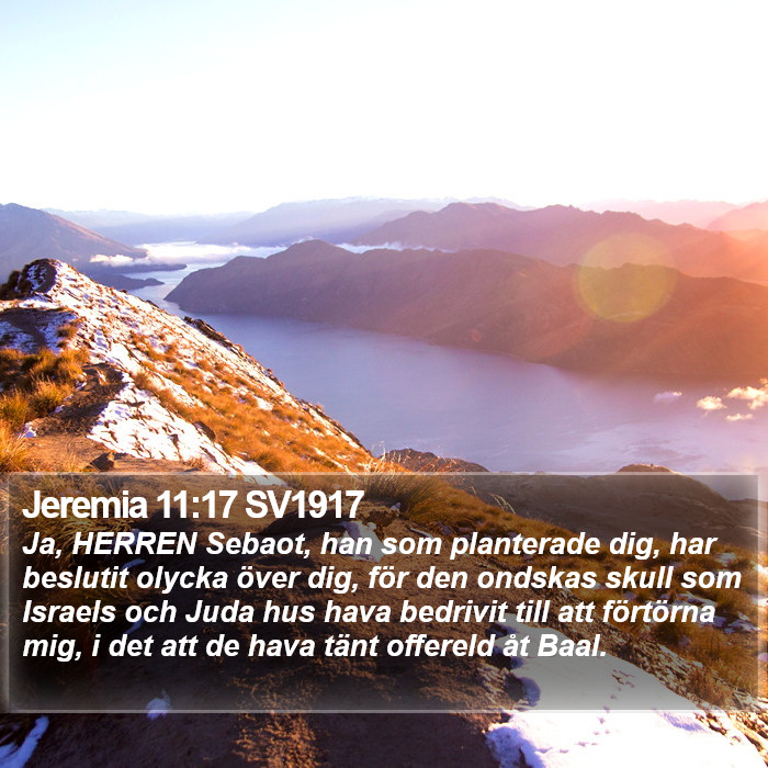 Jeremia 11:17 SV1917 Bible Study