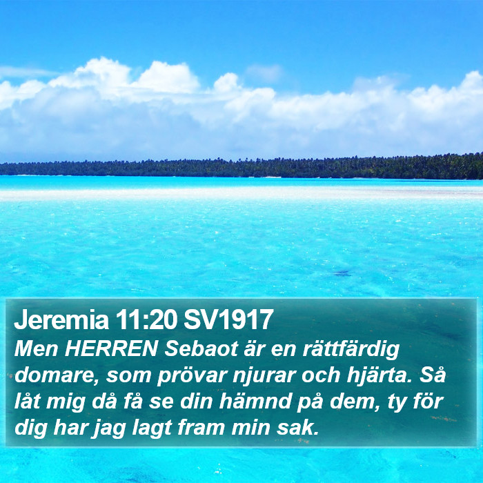 Jeremia 11:20 SV1917 Bible Study