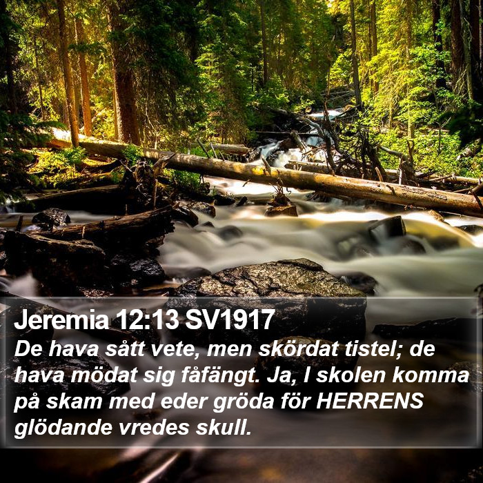 Jeremia 12:13 SV1917 Bible Study