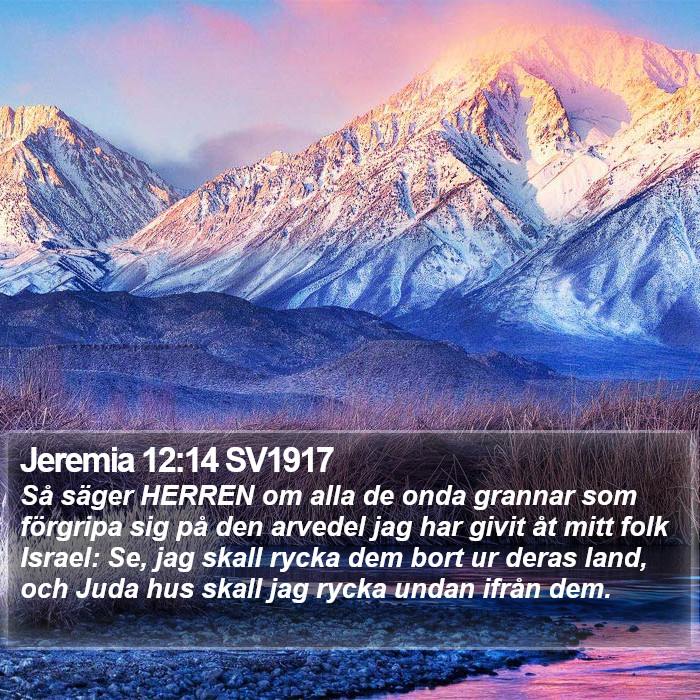 Jeremia 12:14 SV1917 Bible Study