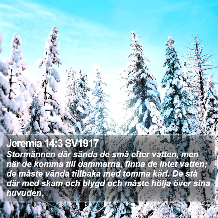 Jeremia 14:3 SV1917 Bible Study