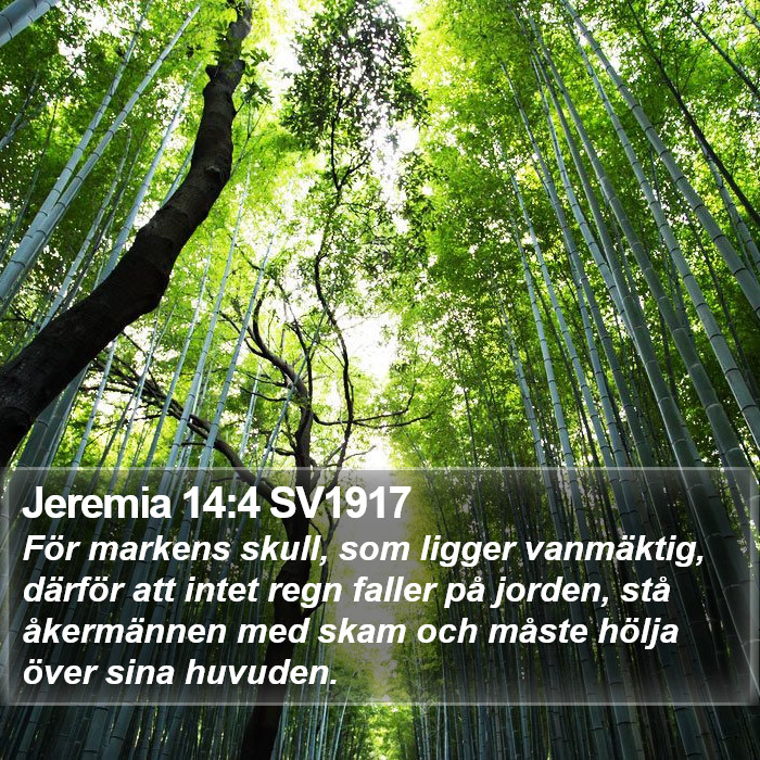 Jeremia 14:4 SV1917 Bible Study