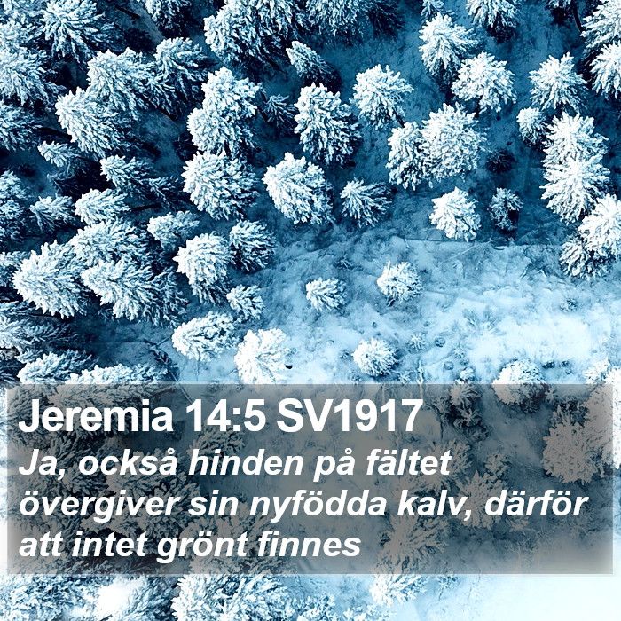 Jeremia 14:5 SV1917 Bible Study