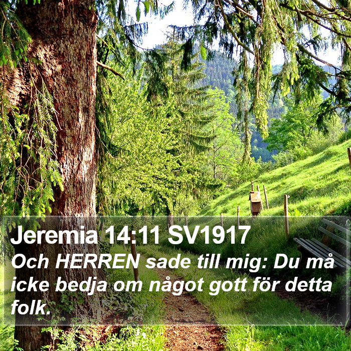 Jeremia 14:11 SV1917 Bible Study