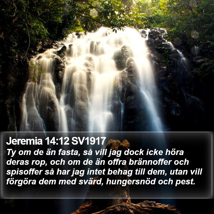 Jeremia 14:12 SV1917 Bible Study