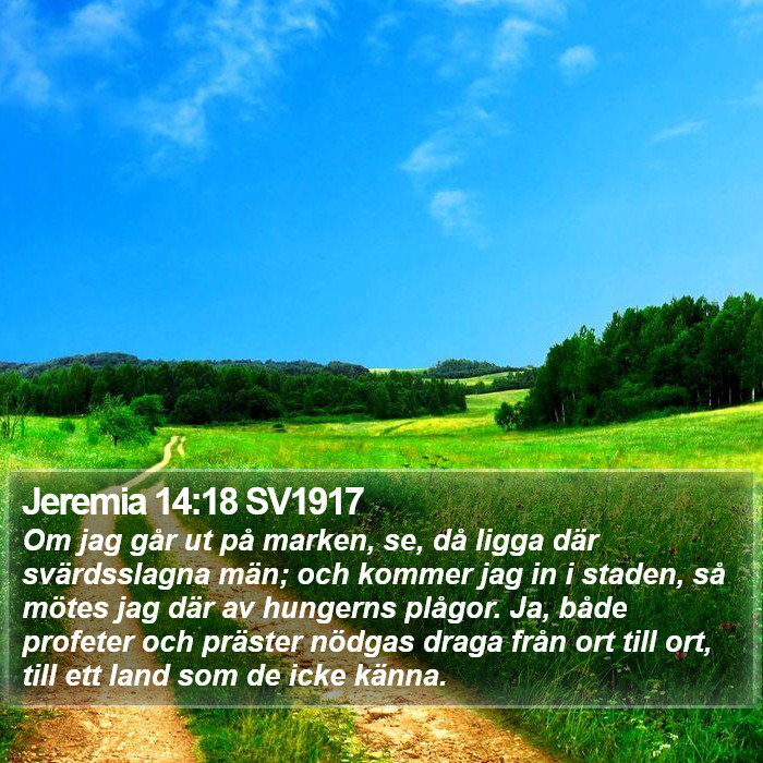 Jeremia 14:18 SV1917 Bible Study