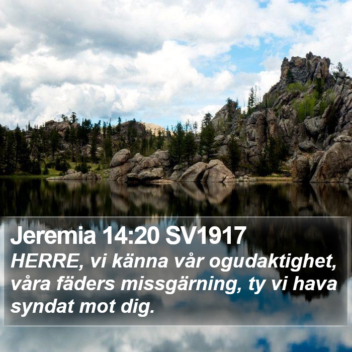 Jeremia 14:20 SV1917 Bible Study