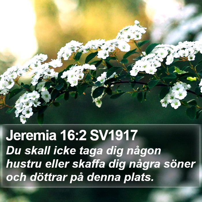 Jeremia 16:2 SV1917 Bible Study