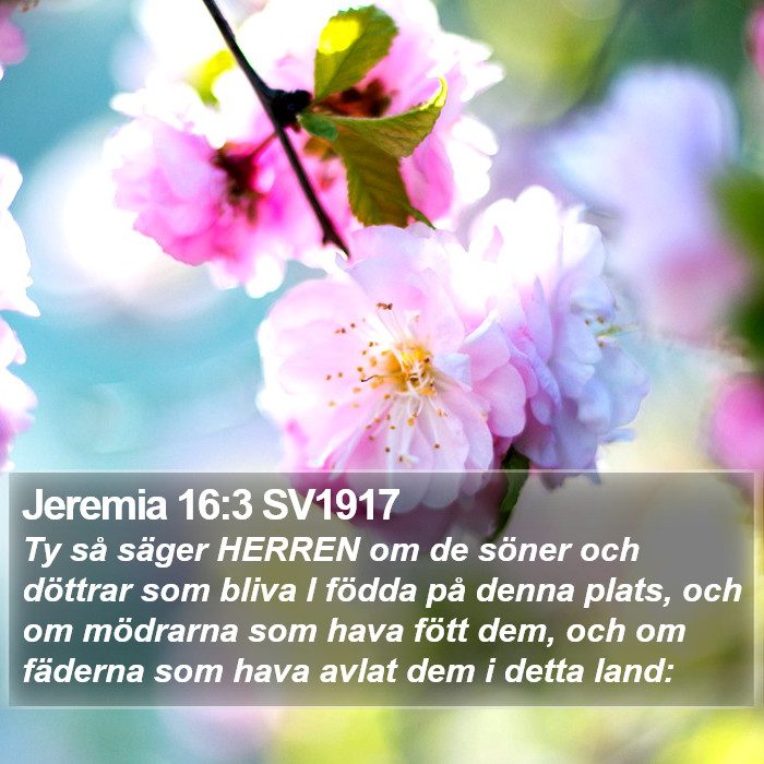 Jeremia 16:3 SV1917 Bible Study