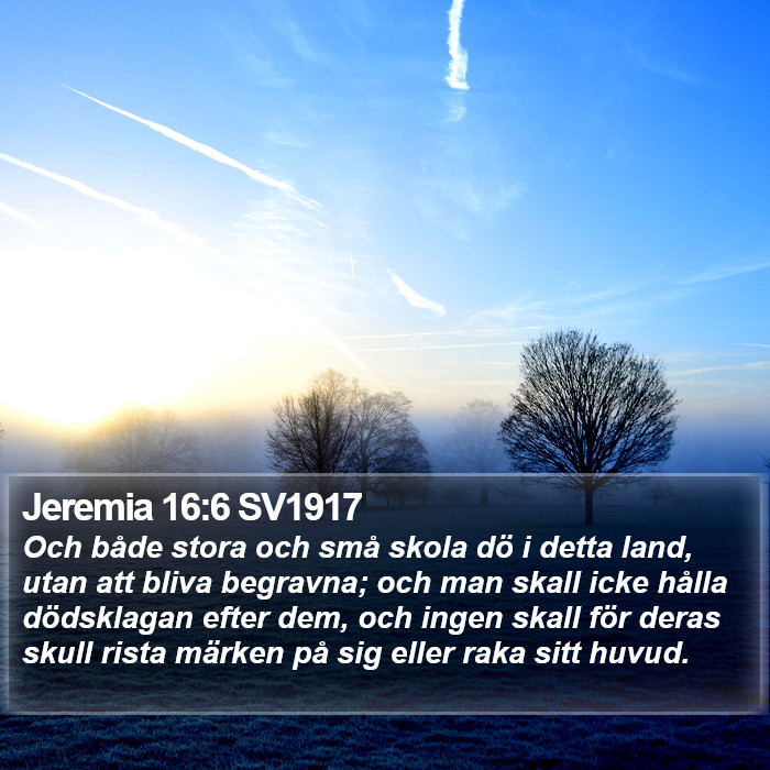 Jeremia 16:6 SV1917 Bible Study