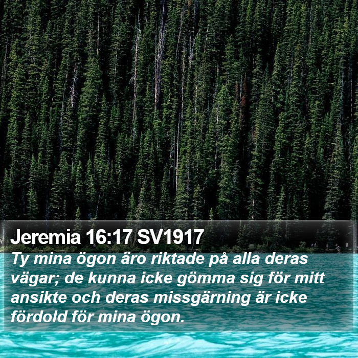 Jeremia 16:17 SV1917 Bible Study