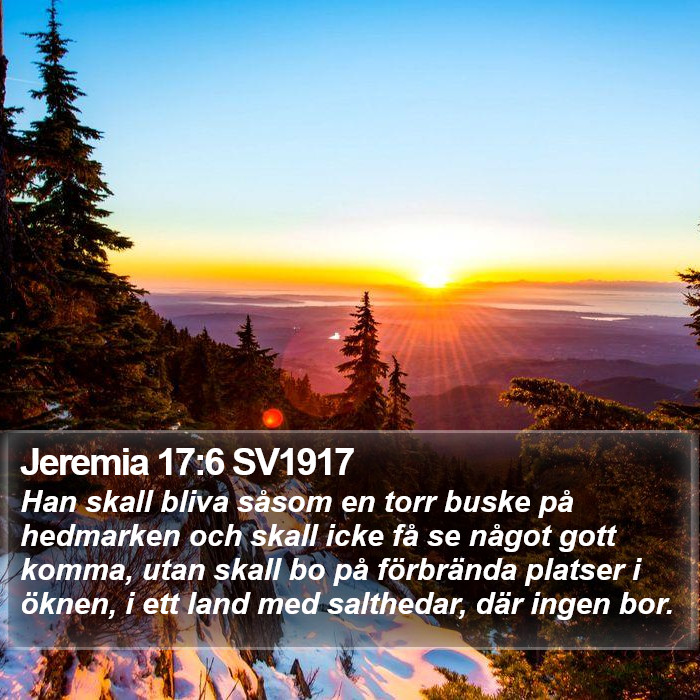 Jeremia 17:6 SV1917 Bible Study