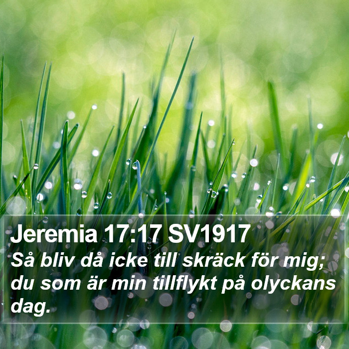 Jeremia 17:17 SV1917 Bible Study