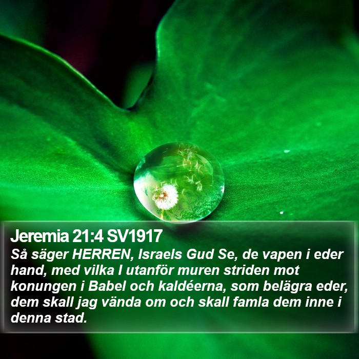 Jeremia 21:4 SV1917 Bible Study