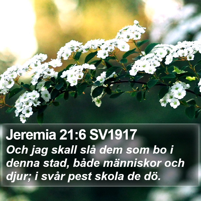 Jeremia 21:6 SV1917 Bible Study