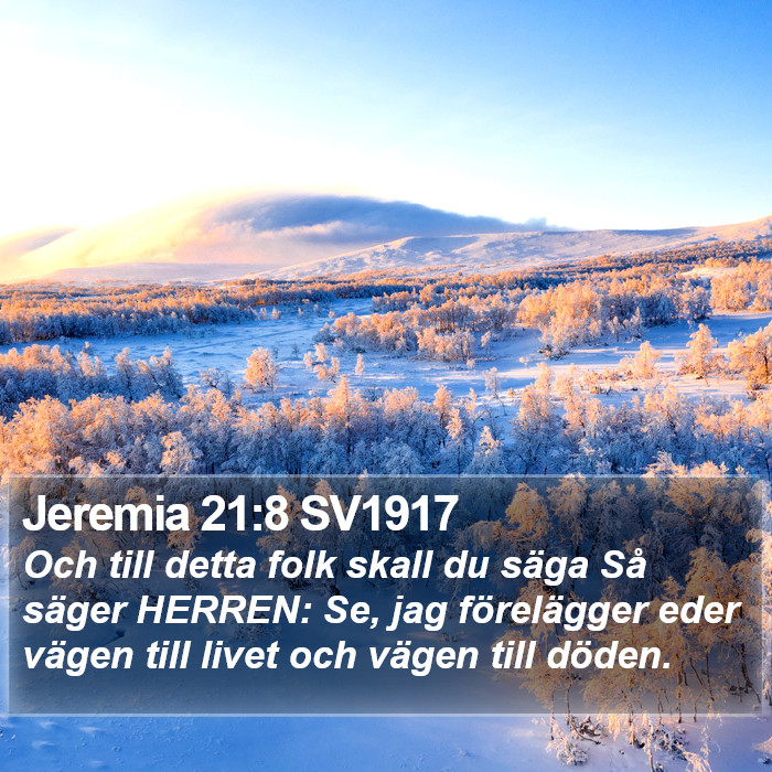 Jeremia 21:8 SV1917 Bible Study