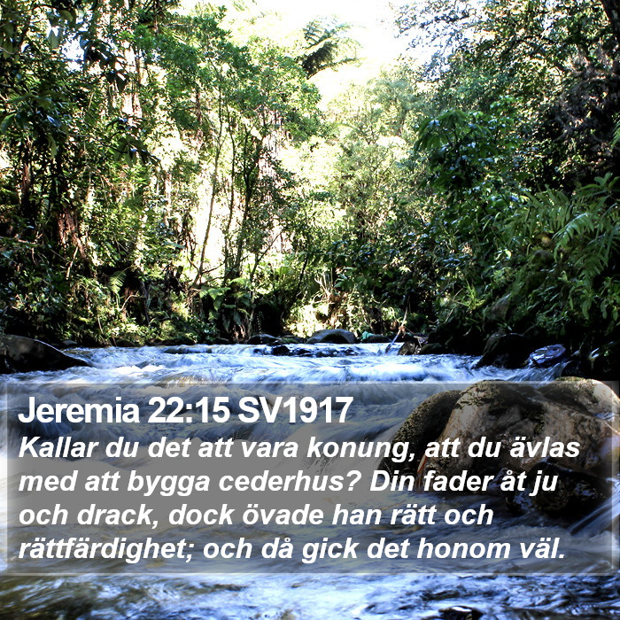 Jeremia 22:15 SV1917 Bible Study