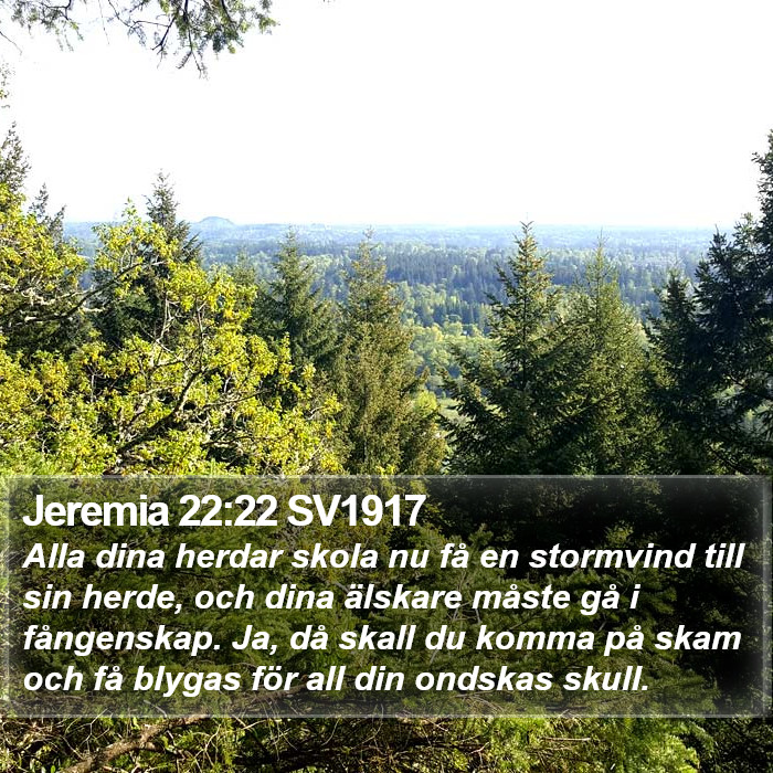 Jeremia 22:22 SV1917 Bible Study