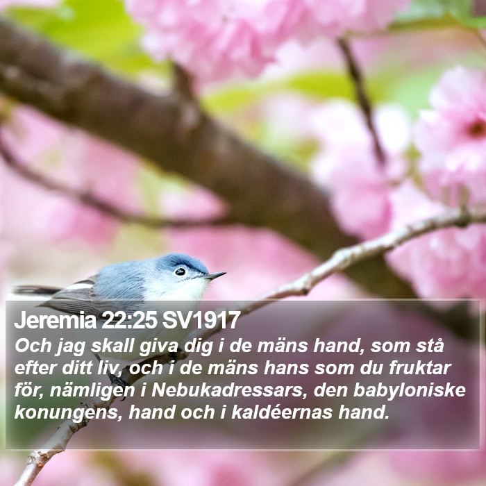 Jeremia 22:25 SV1917 Bible Study
