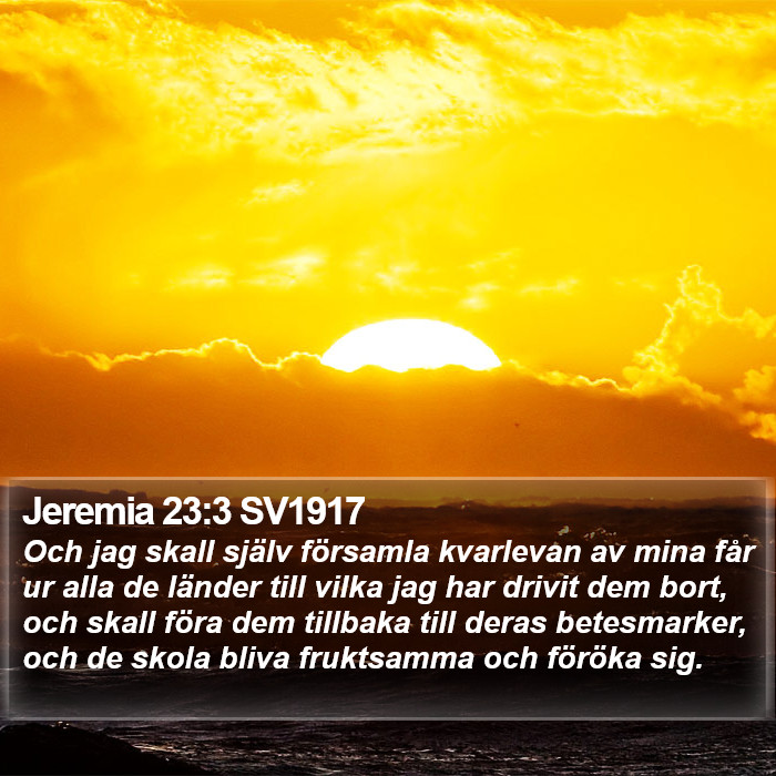 Jeremia 23:3 SV1917 Bible Study