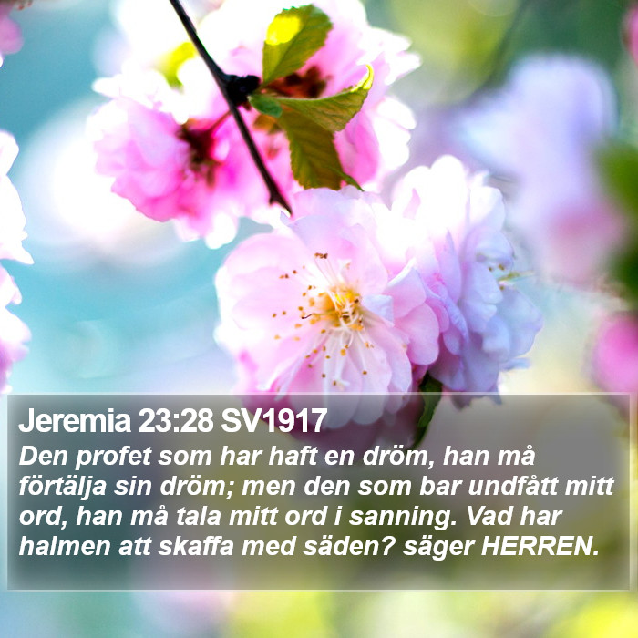 Jeremia 23:28 SV1917 Bible Study