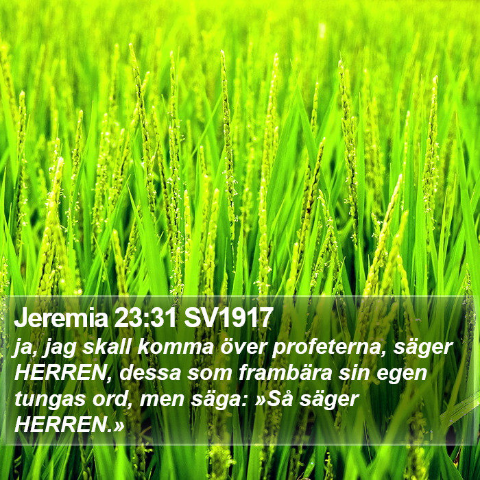 Jeremia 23:31 SV1917 Bible Study