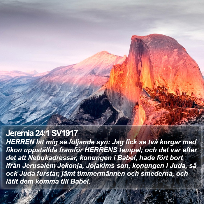 Jeremia 24:1 SV1917 Bible Study
