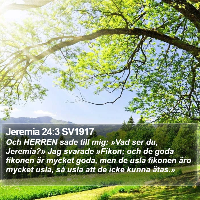Jeremia 24:3 SV1917 Bible Study