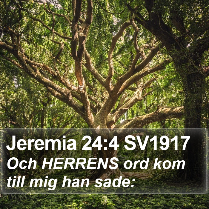 Jeremia 24:4 SV1917 Bible Study