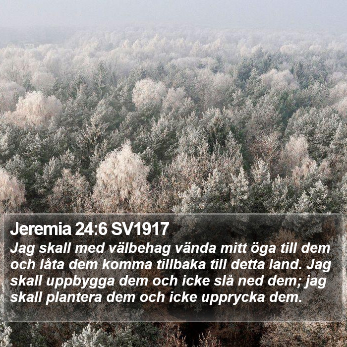 Jeremia 24:6 SV1917 Bible Study