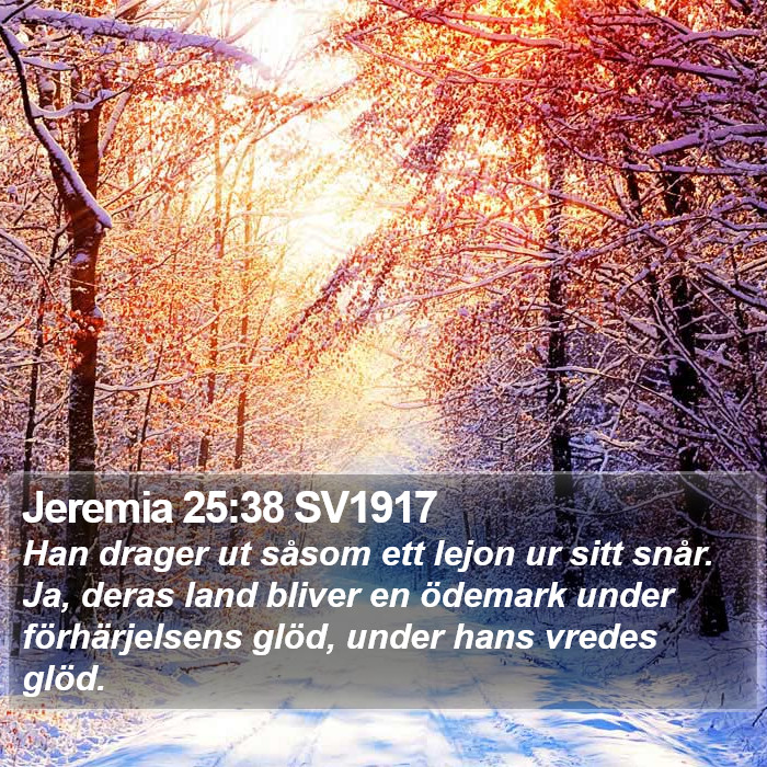 Jeremia 25:38 SV1917 Bible Study