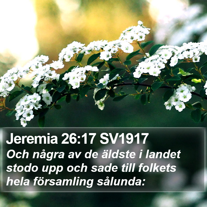 Jeremia 26:17 SV1917 Bible Study