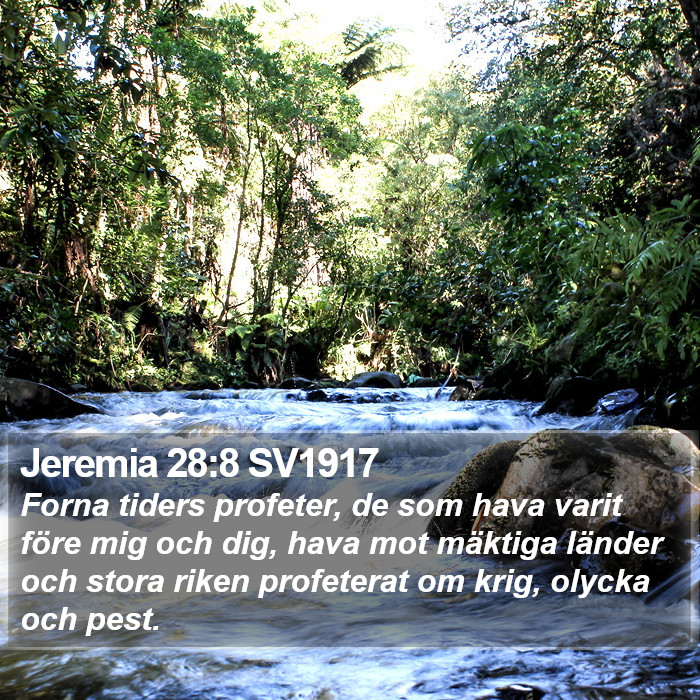 Jeremia 28:8 SV1917 Bible Study