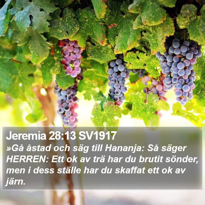 Jeremia 28:13 SV1917 Bible Study