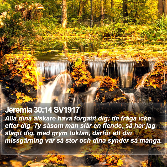 Jeremia 30:14 SV1917 Bible Study