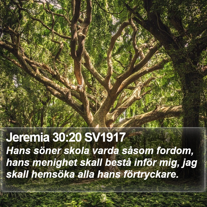 Jeremia 30:20 SV1917 Bible Study