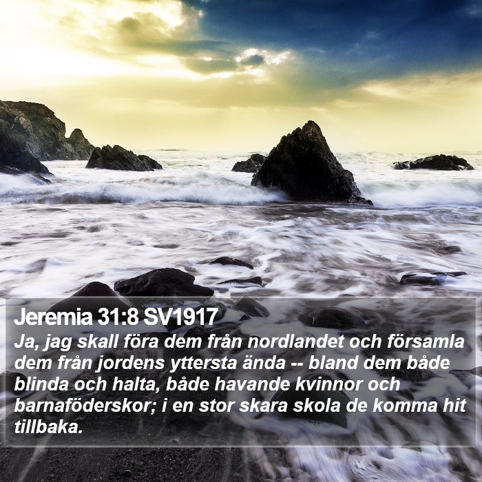 Jeremia 31:8 SV1917 Bible Study