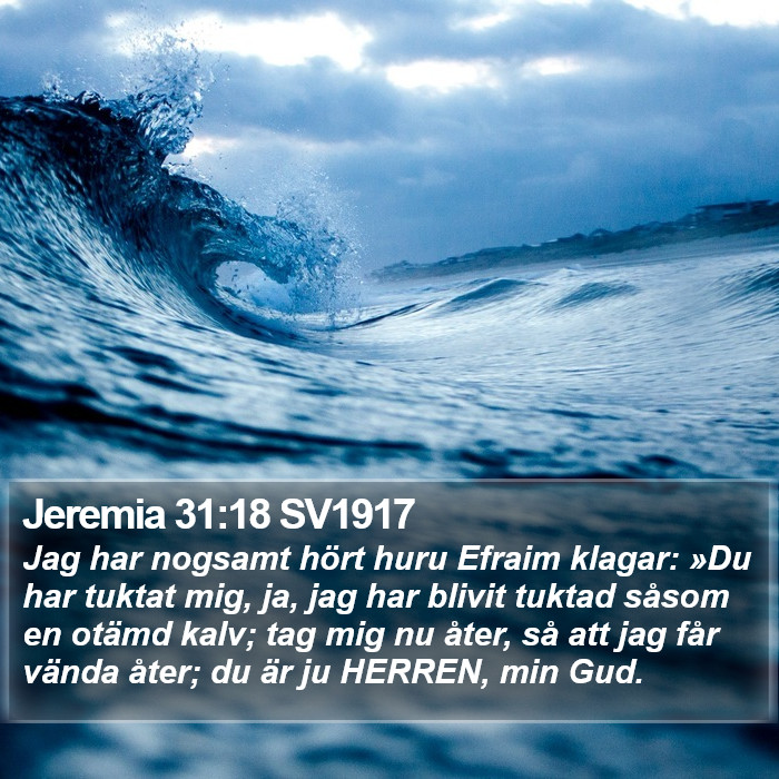 Jeremia 31:18 SV1917 Bible Study