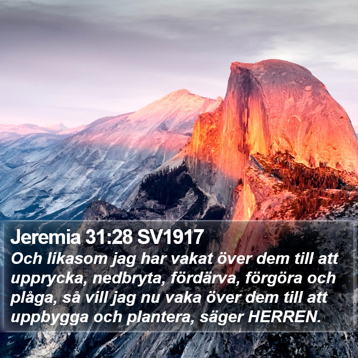 Jeremia 31:28 SV1917 Bible Study