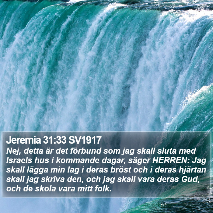 Jeremia 31:33 SV1917 Bible Study
