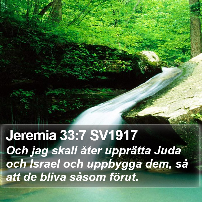 Jeremia 33:7 SV1917 Bible Study