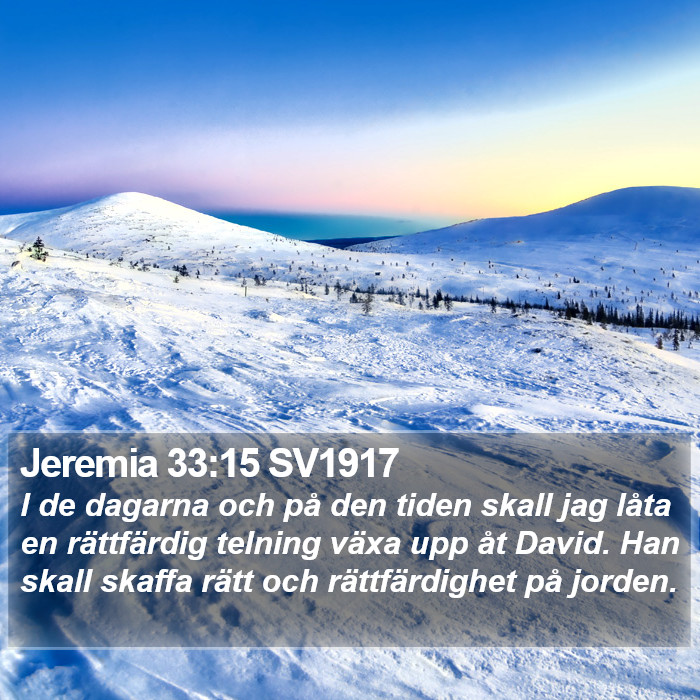 Jeremia 33:15 SV1917 Bible Study