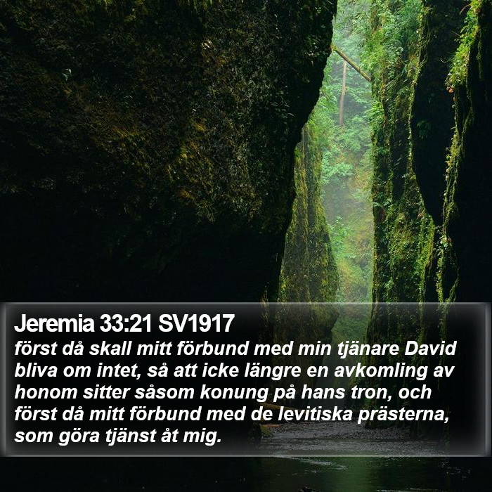 Jeremia 33:21 SV1917 Bible Study