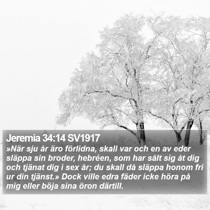 Jeremia 34:14 SV1917 Bible Study