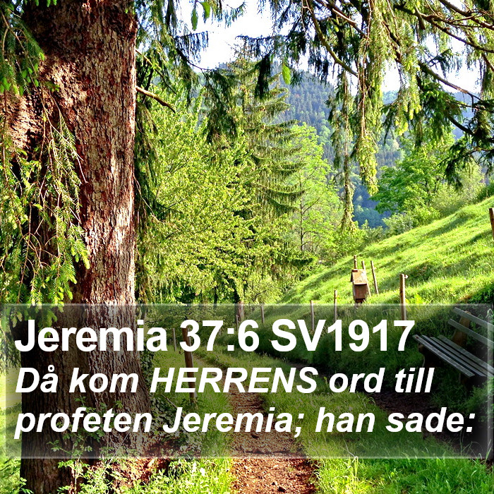 Jeremia 37:6 SV1917 Bible Study