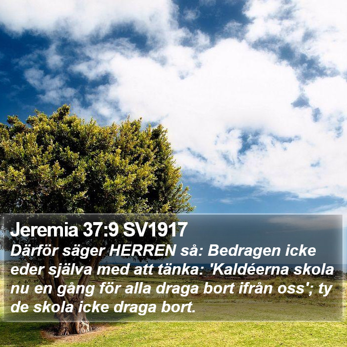 Jeremia 37:9 SV1917 Bible Study