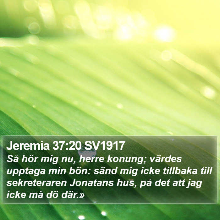 Jeremia 37:20 SV1917 Bible Study