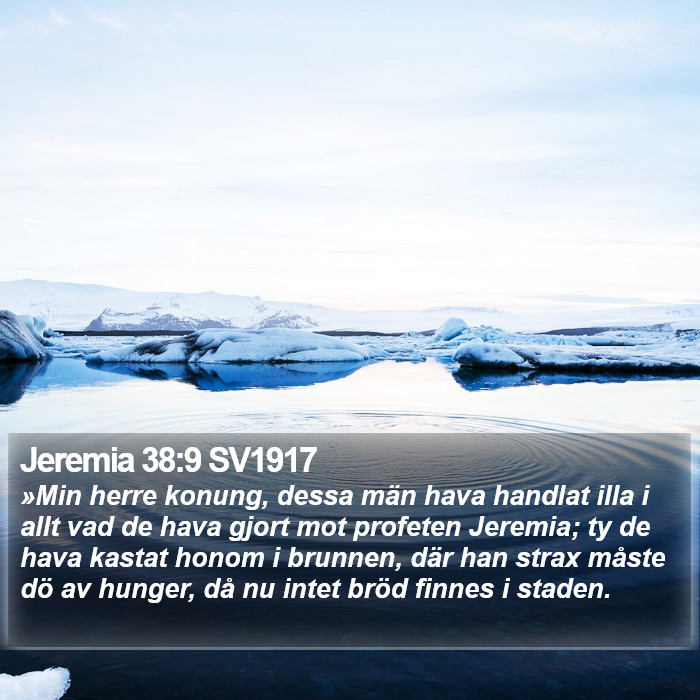 Jeremia 38:9 SV1917 Bible Study